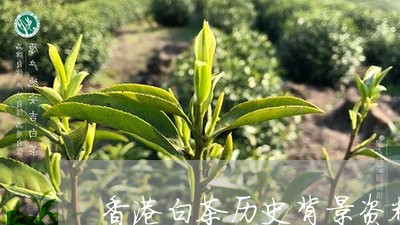 香港王中王资料大全免费,权威解答解释落实_豪华款52.106