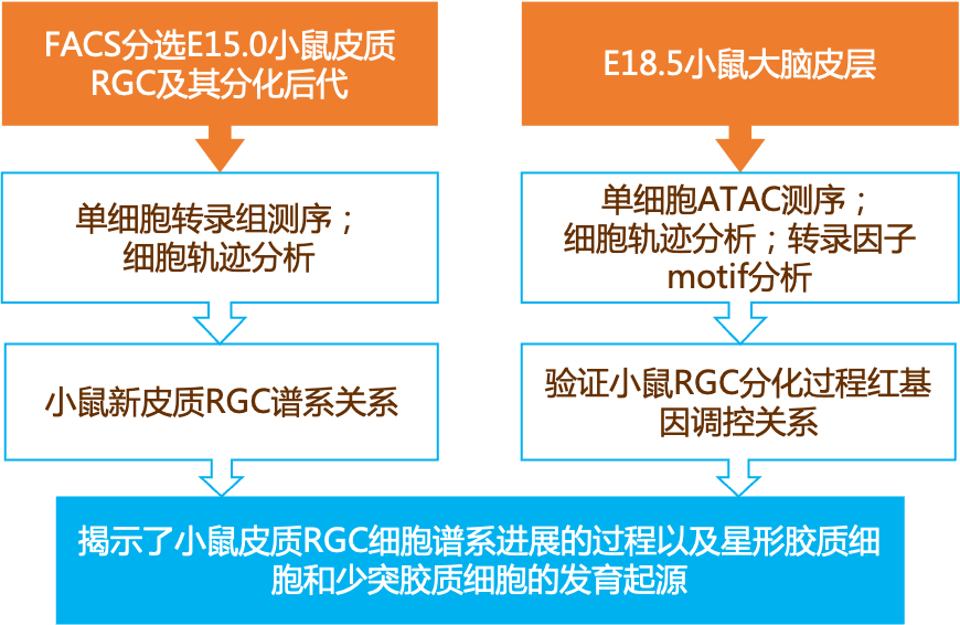 轶闻 第1100页