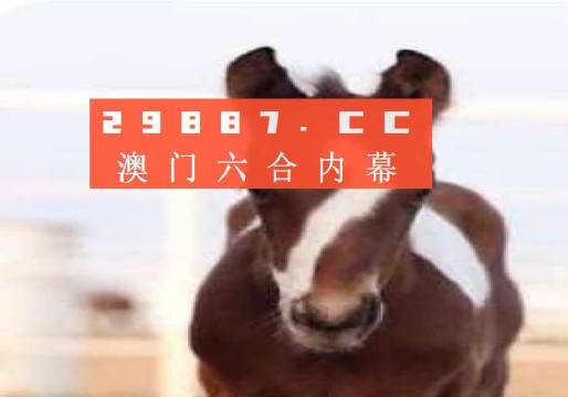 焦点 第1094页