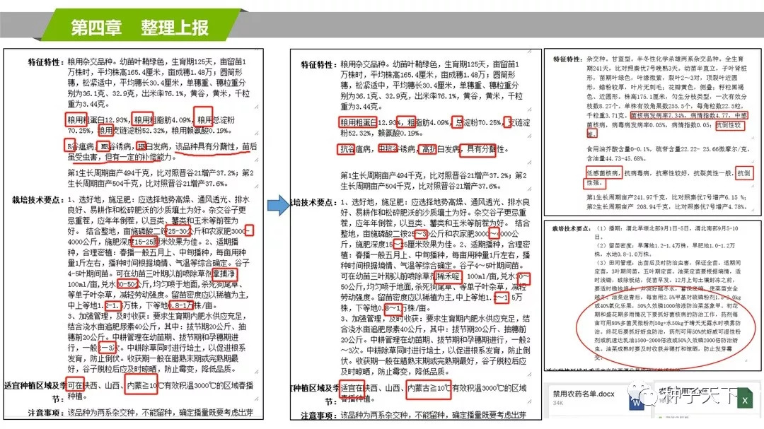 澳门一码一肖一特一中,权威解答解释落实_钻石版45.011