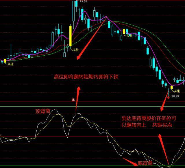 2024澳门开什么特马,可靠解答解释落实_GT34.167