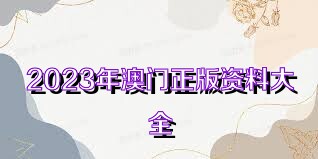 2023年正版澳门全年免费资料,深度解答解释落实_钻石版96.693