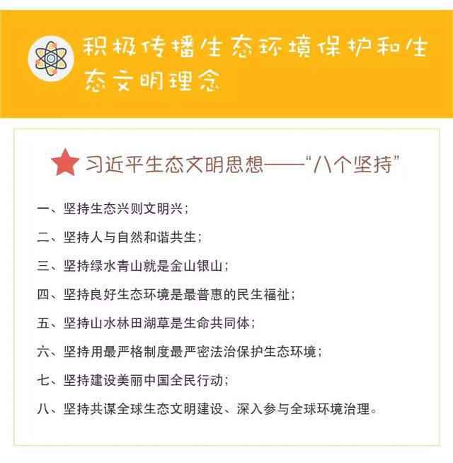 新奥门特免费资料大全198期,精细解答解释落实_经典款34.125