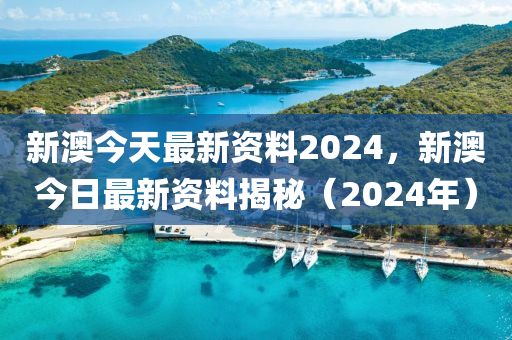 新澳2024年精准正版资料,全面解答解释落实_Lite49.079