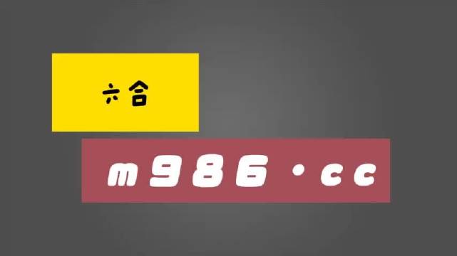 白小姐四肖四码100%准,经典解答解释落实_P版87.250