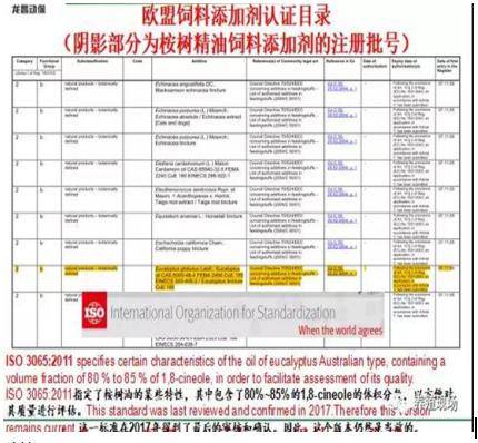 2024澳彩免费公开资料查询,高效解答解释落实_W28.286