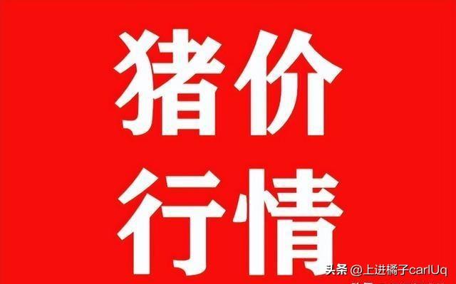 2024年天天彩资料免费大全,数据解答解释落实_限定版53.217