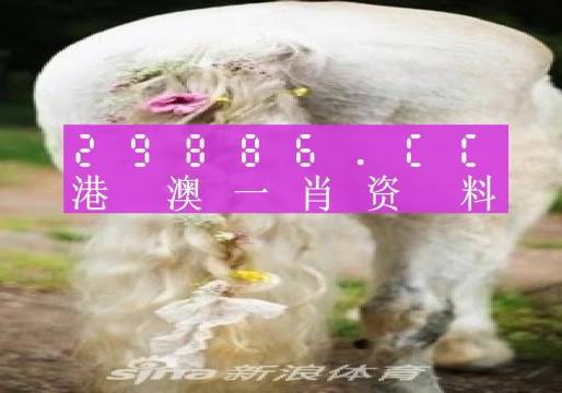 澳门一肖一码100准免费资料,综合解答解释落实_VE版33.488