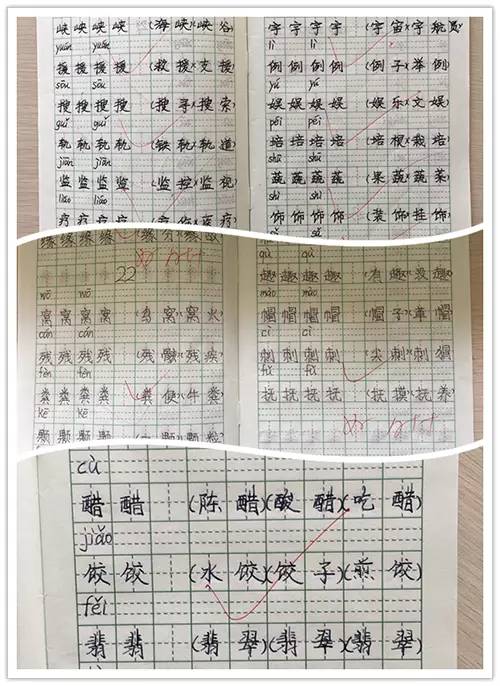 黄大仙精选论坛三肖资料,量度解答解释落实_娱乐版79.22.88