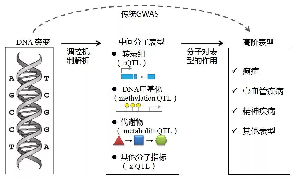 正版综合资料一资料大全,数据整合解析设计_半成型14.591