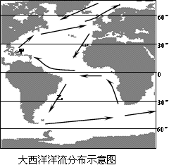 澳门最精准免费资料,精确分析解答解释现象_战术版64.844