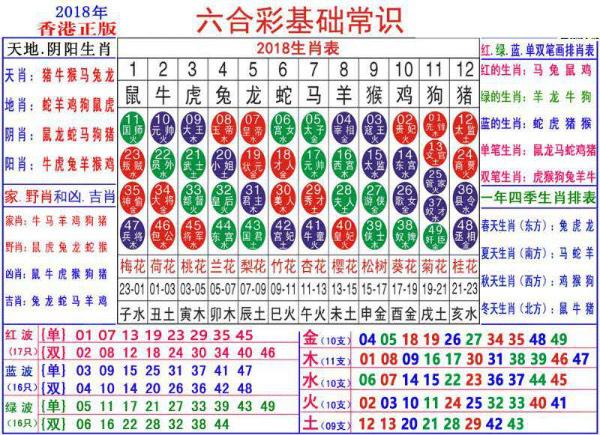 2024澳门正版资料大全资料生肖卡,驰名解答解释落实_还原版94.26.89