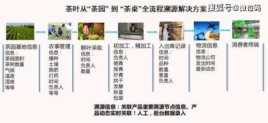 澳门最准一码一肖一特,重要性措施解析_新人版19.927