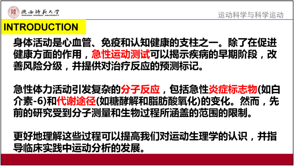 新澳门内部正版资料大全,技能执行解答解释_随意款40.342