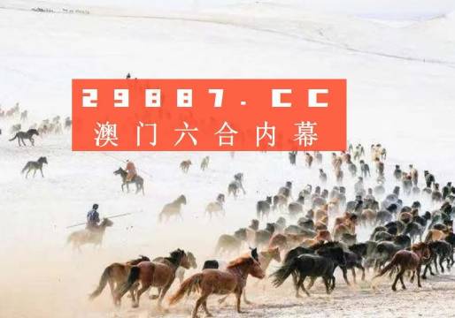 4949澳门今天开的什么码,清晰解答解释落实_显示版13.20.59