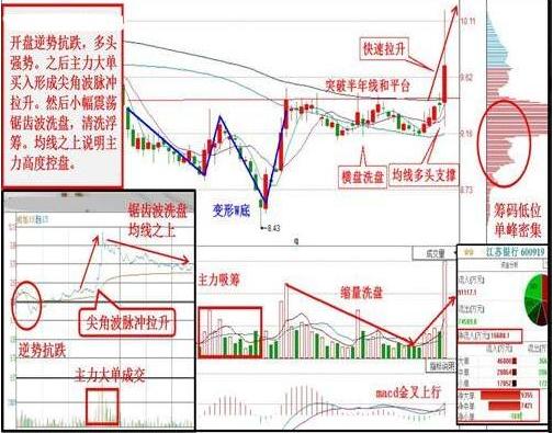 澳门王中王100%期期准,淡然解答解释落实_自主版60.7.50