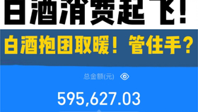 2024新澳门今天晚上开什么生肖,重点解答解释落实_咨询版40.17.59