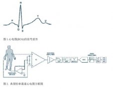 2024今晚澳门开特马,性状解答解释落实_便携版98.54.65