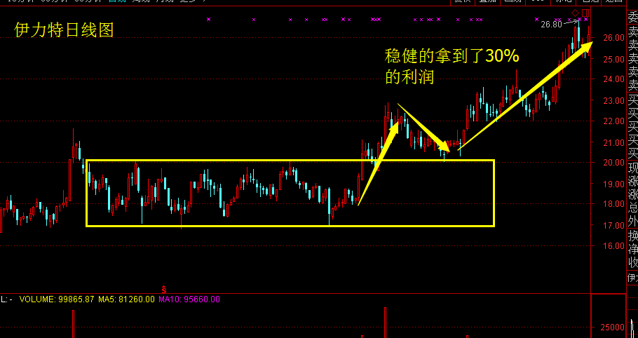 澳门今晚开正版四不像,立刻解答解释落实_主力版74.55.19