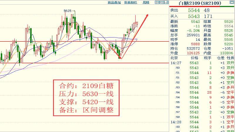 2024今晚香港开特马开什么,优秀解答解释落实_使用版44.52.8