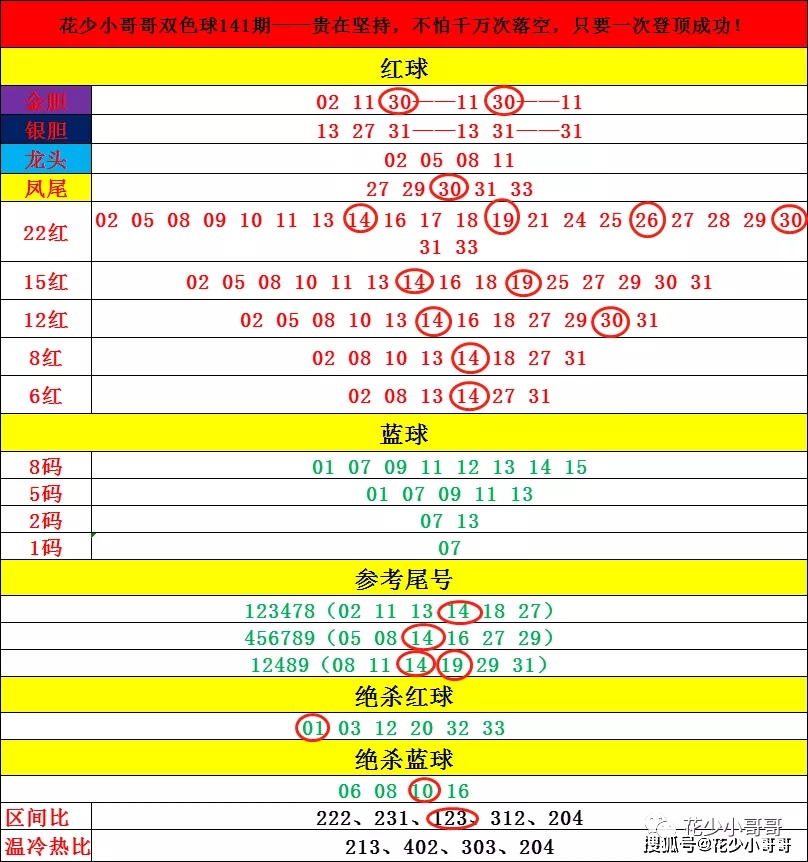 一码一肖100准打开码,牢靠解答解释落实_精英版63.19.32