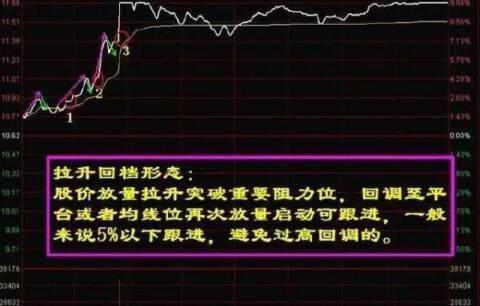 看香港正版精准特马资料,细节解答解释落实_生存版84.3.37