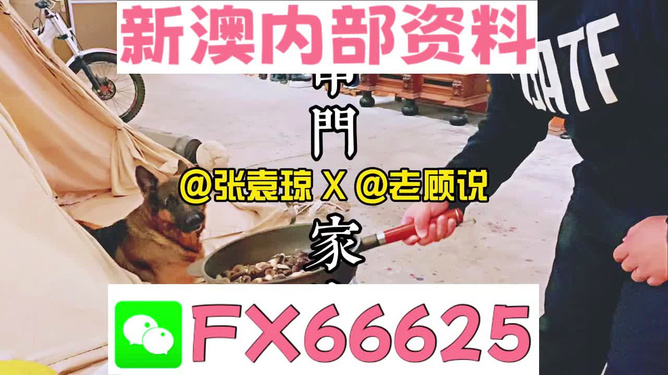 新澳门精准资料大全管家婆料,发掘解答解释落实_鼓励版96.25.66