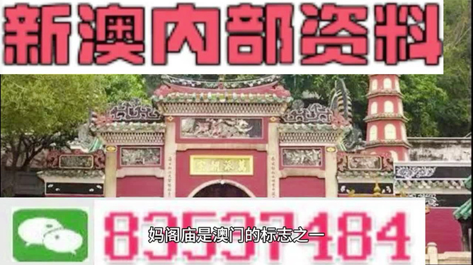 2024年管家婆精准一肖61期,目标解答解释落实_高手版6.34.48