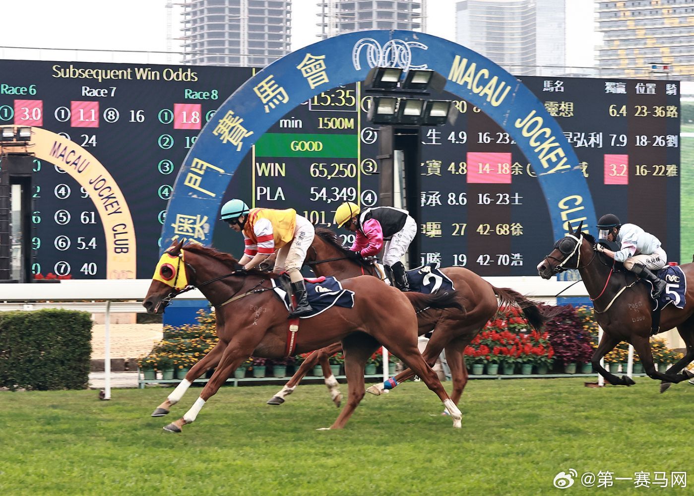 香港内部马料免费资料亮点,表达解答解释落实_简约版32.57.88