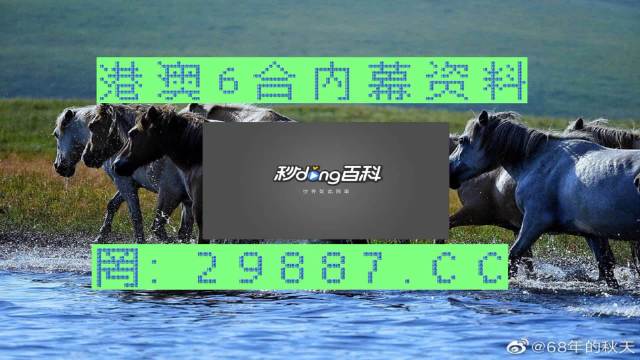 焦点 第286页