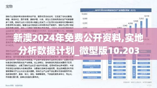 2024新澳兔费资料琴棋,尖端解答解释落实_自在版26.13.62