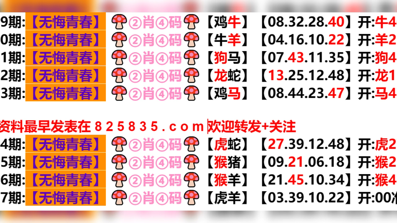 新闻 第261页