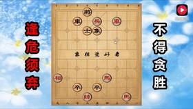 2024新澳兔费资料琴棋,圣洁解答解释落实_实验版54.14.31