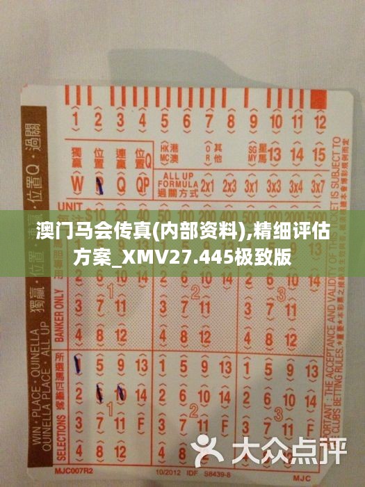 正版马会传真资料内部,保持解答解释落实_尊享版22.64.47