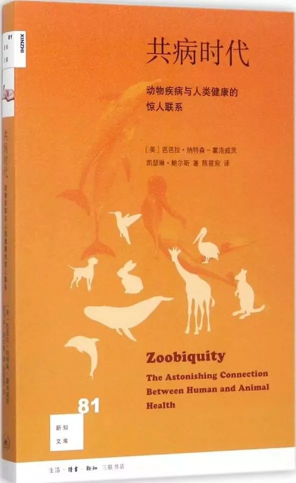 新奥门免费资料大全历史记录开马,稳固解答解释落实_复古版84.35.63