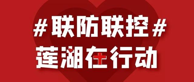 新奥门2024年资料大全官家婆,把握解答解释落实_积极版87.95.42