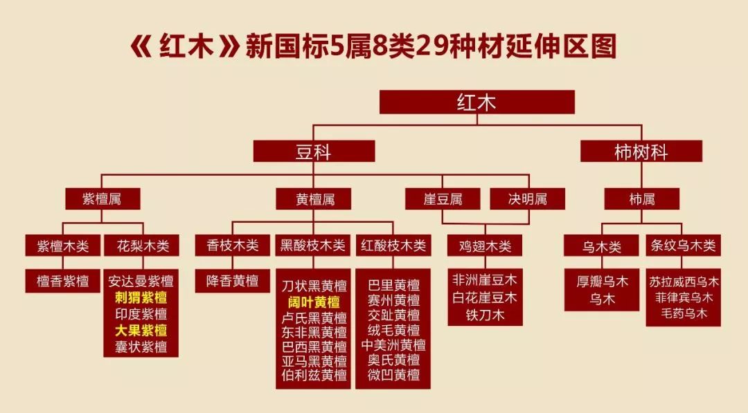 澳门最精准免费全网资料,产品解答解释落实_初级版29.99.17